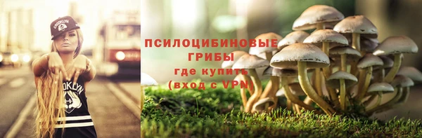 бошки Верея