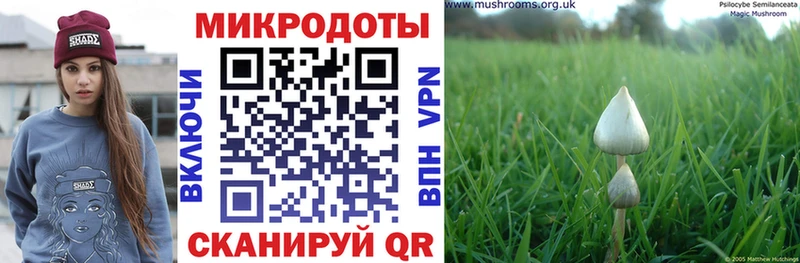 Псилоцибиновые грибы Cubensis  shop как зайти  Воркута 